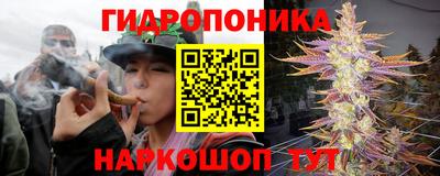 СК Жуковский