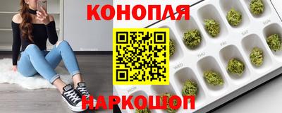 СК Жуковский