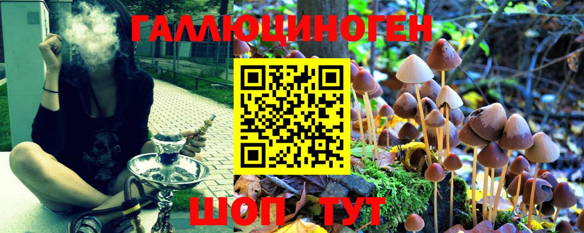 Галлюциногенные грибы прущие грибы Майкоп