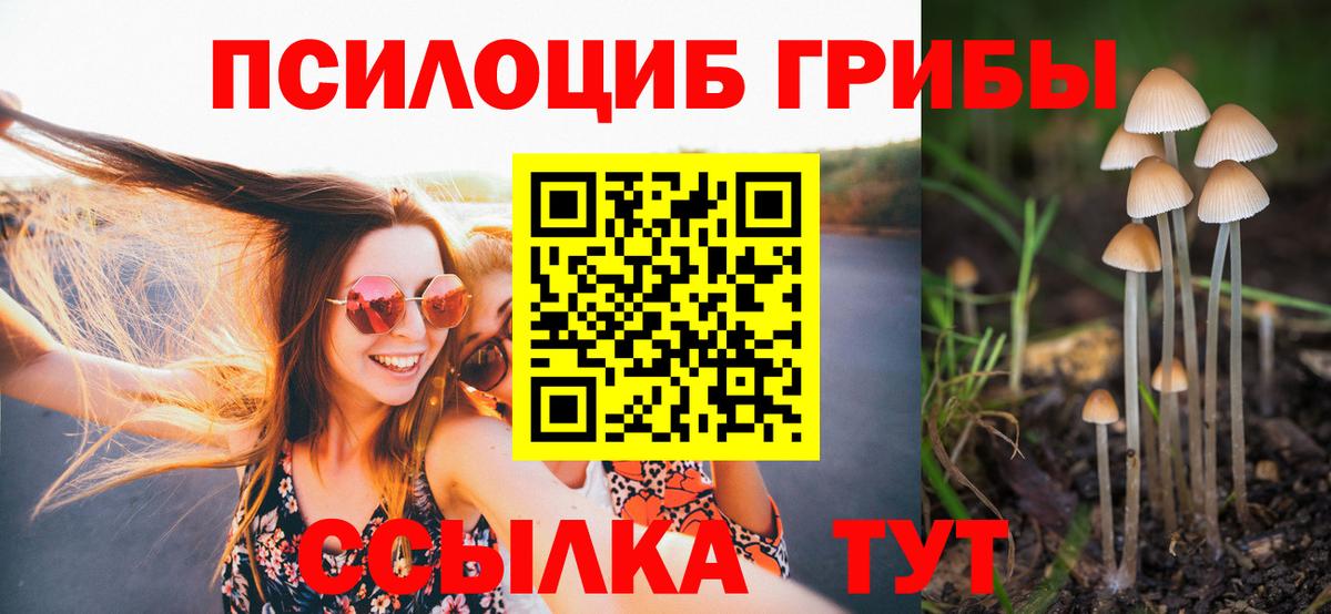 Галлюциногенные грибы прущие грибы  Вход с VPN  Майкоп 